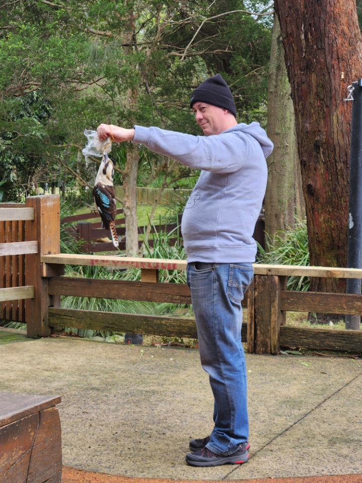 Wil vs Kookaburra